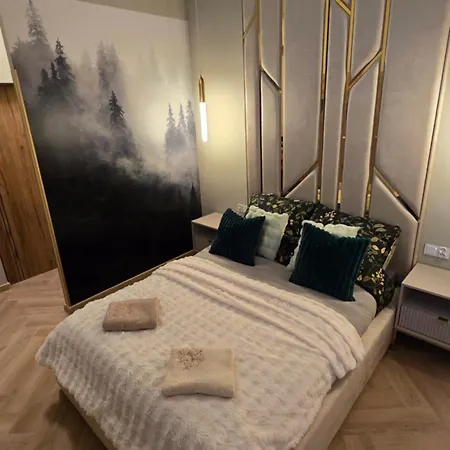 Delux Z Jacuzzi Apartmán Pština